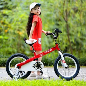 Двухколесный велосипед Royal Baby Honey Steel 16" красный Royal Baby фото 11
