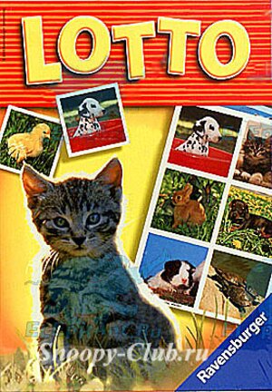 Nastolnaya Igra Zoologicheskoe Loto Ravensburger Cena 470