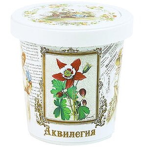 Набор для выращивания Аквилегия