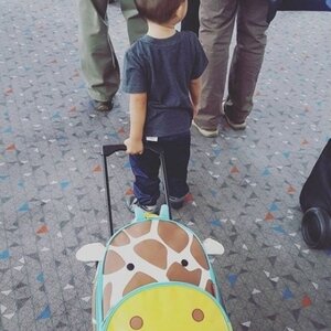 Детский чемодан на колесиках Жираф Джулс 32*46 см Skip Hop фото 5