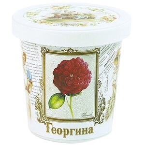 Набор для выращивания Георгина