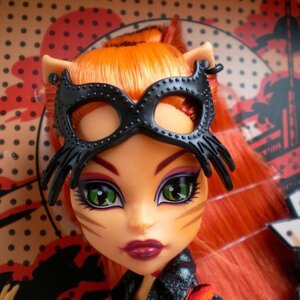 Кукла Торалей Страйп Супергерои 26 см (Monster High) Mattel фото 8