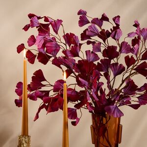Высокие свечи 30 см Андреа Вельвет медовые, 5 шт Candleslight (Кэндлслайт) фото 4