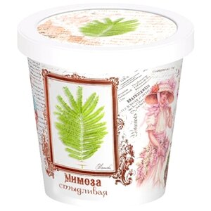 Набор для выращивания Мимоза Стыдливая Rostokvisa фото 1