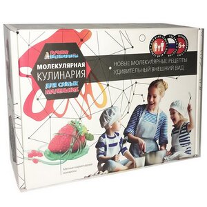 Набор для опытов Молекулярная кулинария для самых маленьких Научные технологии фото 1