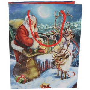 Подарочный пакет North Pole Stage 18*14 см Due Esse Christmas фото 1