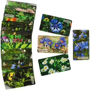 Набор карточек "Мир на ладошке. На цветочной полянке" Умница фото 2