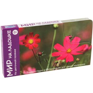 Набор карточек "Мир на ладошке. На цветочной полянке" Умница фото 1