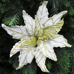 Пуансеттия Stella di Natale - White&Gold 30 см, клипса