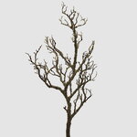 Искусственная ветка Branche Molte 81 см