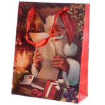 Подарочный пакет Добрый Санта с письмами 24*18*8 см