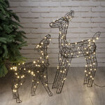 Набор светящихся оленей Gold Coast - Deers, 2 шт, 59-78 см, 120 теплых белых Big&Bright LED ламп, IP44