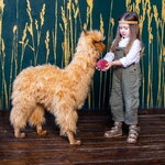 Большая мягкая игрушка Альпака 100 см