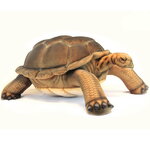 Большая мягкая игрушка Галапагосская черепаха 145 см