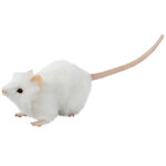 Мягкая игрушка Крыса белая 19 см
