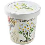 Набор для выращивания цветка Ромашка