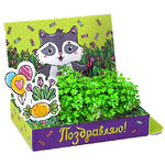 Подарочный набор Живая открытка - Поздравляю