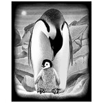 Гравюра серебряная Пингвин, 30*20 см